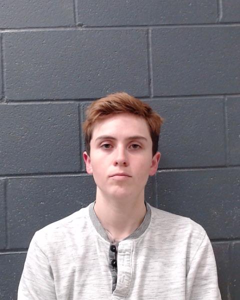 HALAMI, MARISA ELISE arrested by Comal County SO/PD