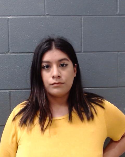 RAMIREZ, JESSICA arrested by Comal County SO/PD