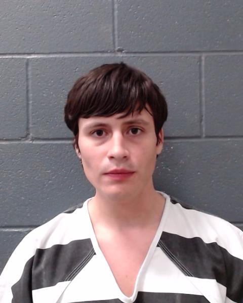 WILCOX, RYAN GILBERT arrested by Comal County SO/PD