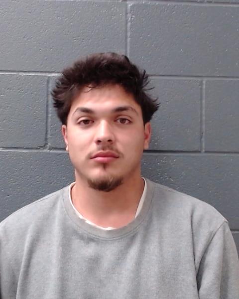 WILL, TIMOTHY arrested by Comal County SO/PD