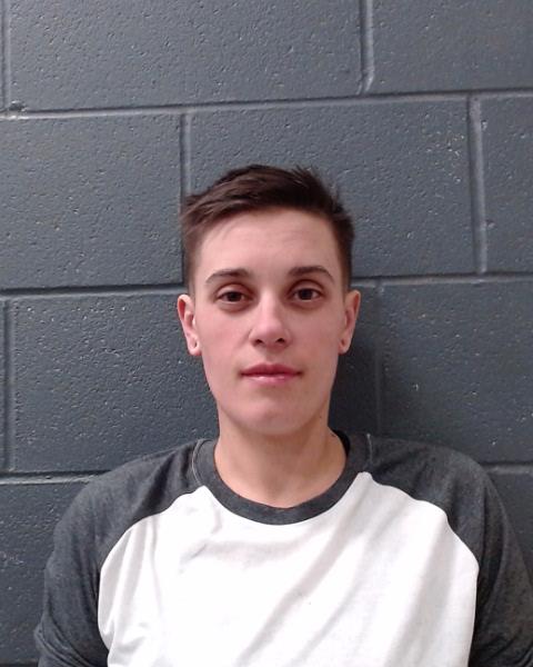 WENTWORTH, LAUREN MICHELLE arrested by Comal County SO/PD