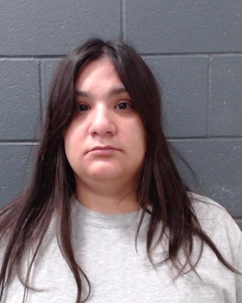 TREVINO, KATHRYN MARIE arrested by Comal County SO/PD