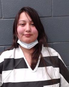 SHAEFFER, KATLIN MARIEE arrested by Comal County SO/PD