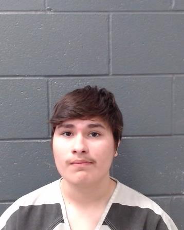 ALONSO, RAUL arrested by Comal County SO/PD