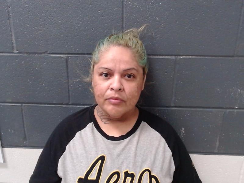 GONZALEZ, ELIZABETH arrested by Comal County SO/PD
