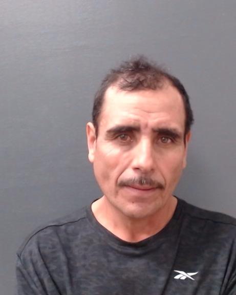 LIMON DIAS, JOSE ISABEL arrested by Comal County SO/PD