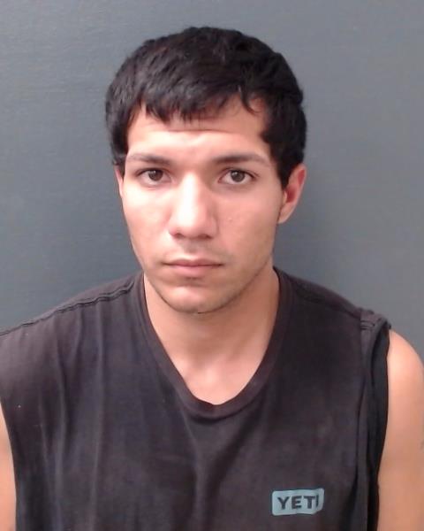 ALVAREZ, EXODUS booking photo