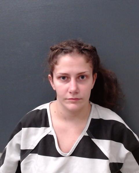 PUELZT, DESTINY ANN booking photo
