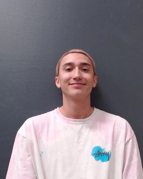 PERKINS, CANYON MYCAEL LEE booking photo