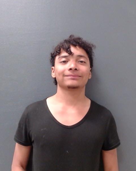 ALVARADO, EIAN DEZERIN booking photo