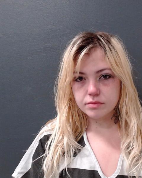 GEORGES, JAIME LYN booking photo