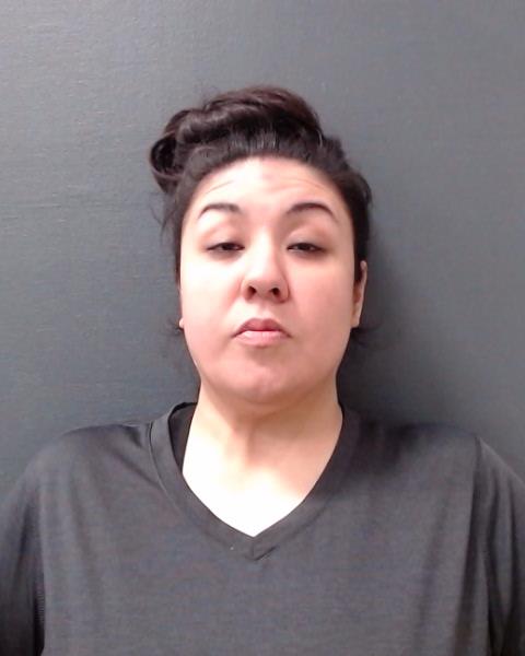 SANCHEZ, SYLVIA ANN booking photo