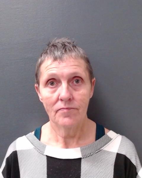 CASTILLEJA, SHELLY JEAN booking photo