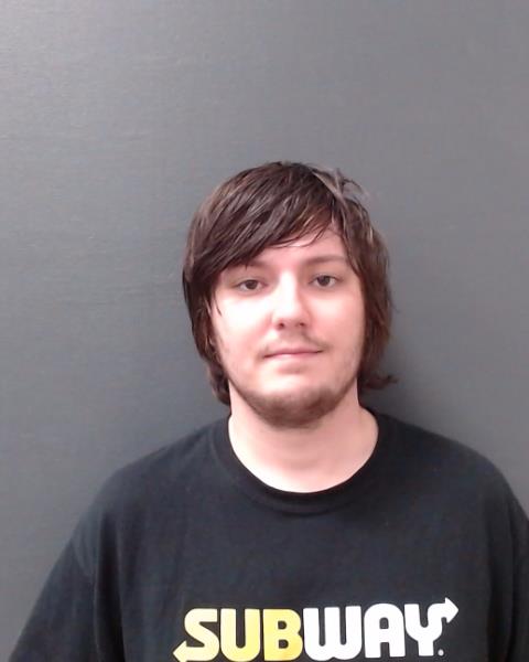 NESENSON, MILES JAMES booking photo