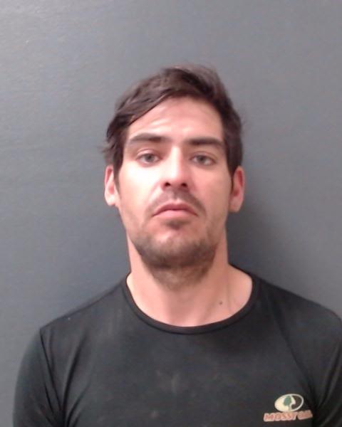 DE LOS SANTOS, CESAR booking photo