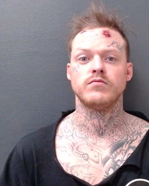 BUSHMAN, LOGAN GRAHAM booking photo