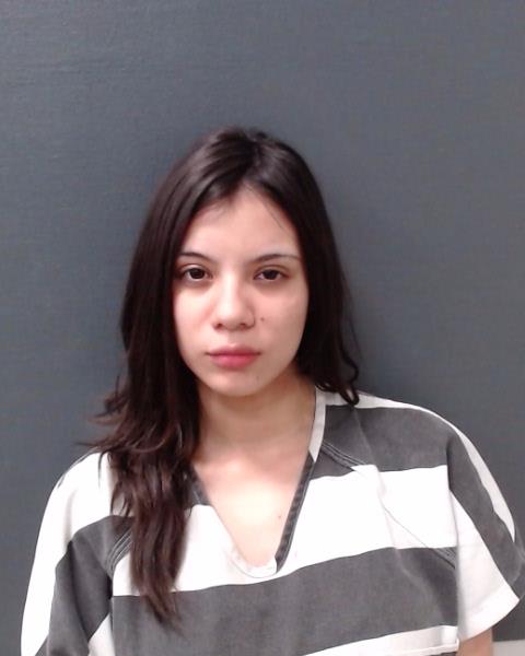 EICHELBERGER, AMANDA MARIE booking photo