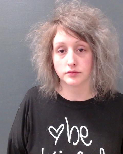 MCCONNELL, ERIN MARIE booking photo