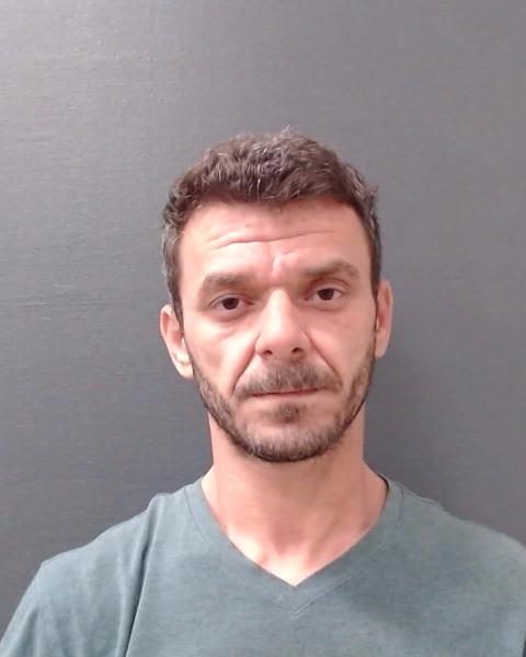 RADU, GEORGE booking photo