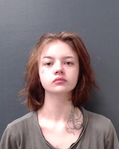 WILLIS, KEELEY SKY booking photo