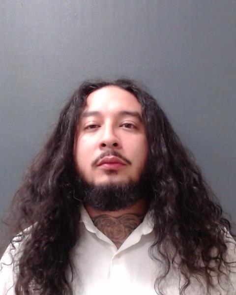 PINEDA, ROGER ALEXANDER booking photo
