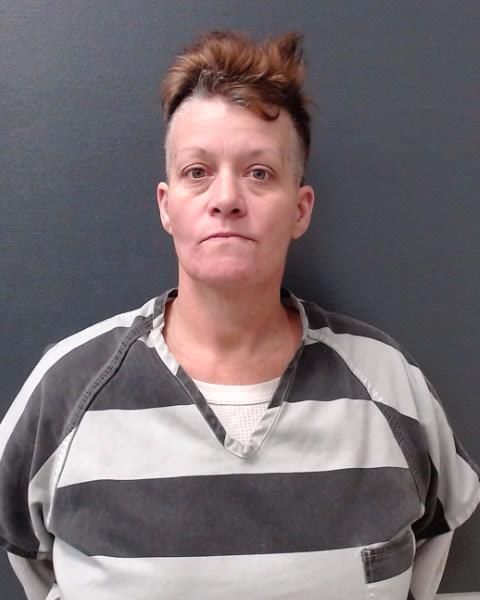 SCHMIDT, VANESSA booking photo