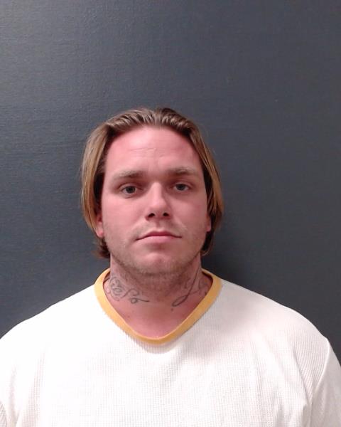 WATSON, BLAYNE OSKAR booking photo