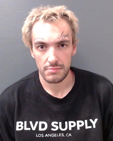 DORCH, BRANDON COLE booking photo