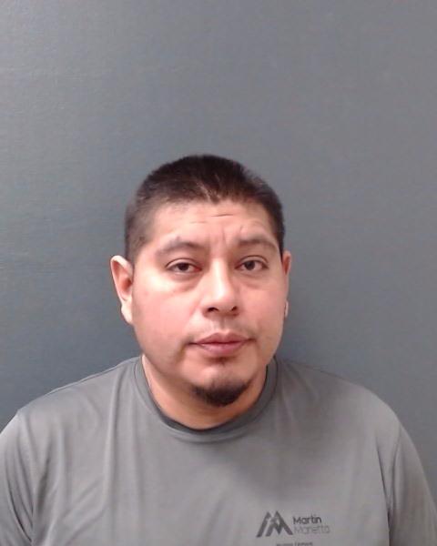 MILAN, JUAN LUIS booking photo