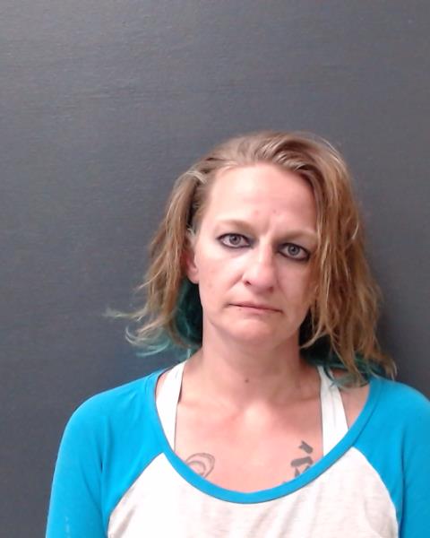OBRIEN, TINA NICOLE booking photo