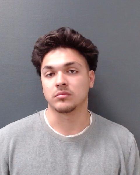 WILL, TIMOTHY booking photo