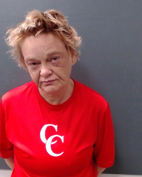 COWELL, TINA DANNENE booking photo