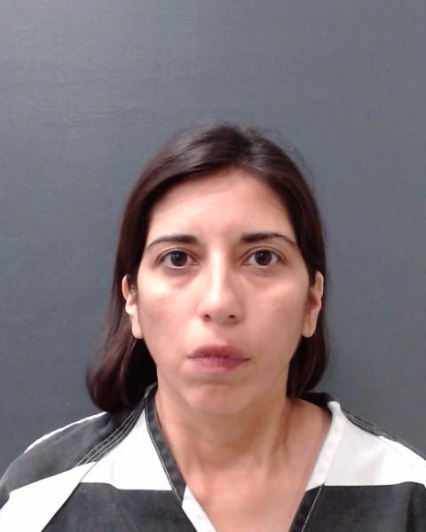 LUIS, SARAH ANN booking photo