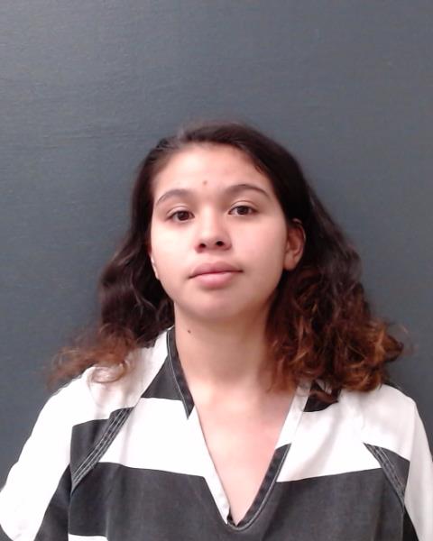 CALVILLO, ANGELINA ANN arrested by Comal County SO/PD