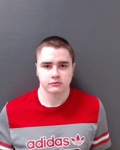 MILLER, NOAH WADE MICHAEL booking photo