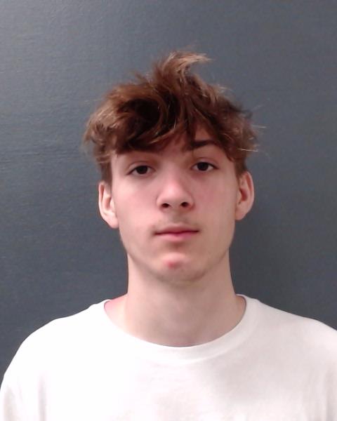 WORKMAN, CAYDEN BRETT booking photo