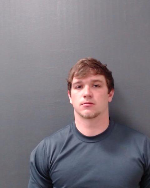 ROMAIN, WALKER LEE booking photo