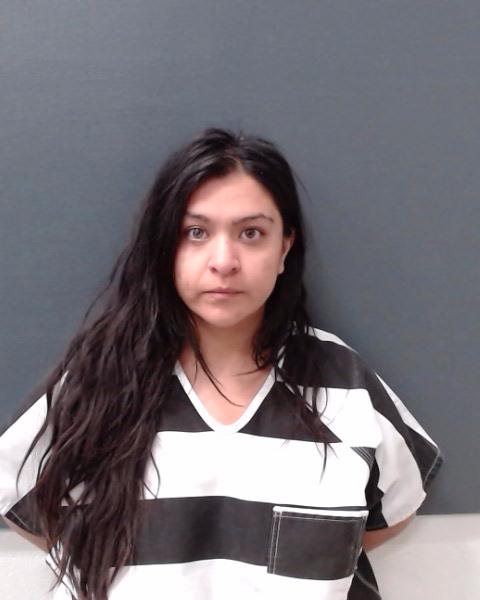 DELGADO, MARISSA LAUREN booking photo