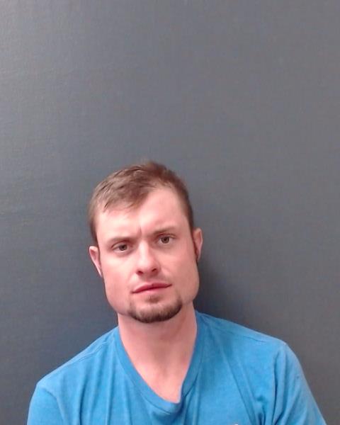 BRANDES, TAYLOR HENRY booking photo