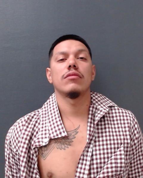 MIRELES, IGNACIO, Jr. booking photo