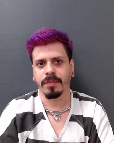 RAMIREZ, MICHAEL ANTHONY booking photo