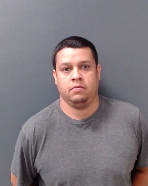 HELM, NICHOLA STACEY booking photo