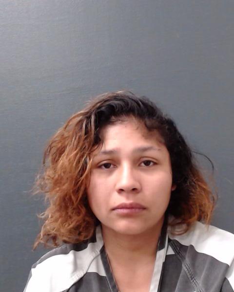 BARRIENTOS, SANDRA LUZ booking photo