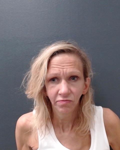 JONES, ELIZABETH KAY booking photo