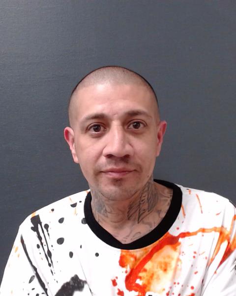 BOCANEGRA, DAVID, Jr. arrested by Comal County SO/PD