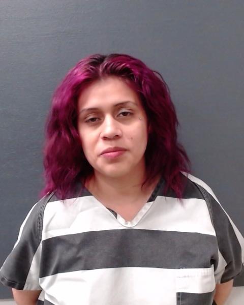RIVERA, ALYSSA ANN arrested by Comal County SO/PD
