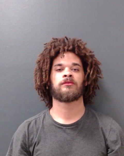 LEWIS, SHANNON arrested by Comal County SO/PD