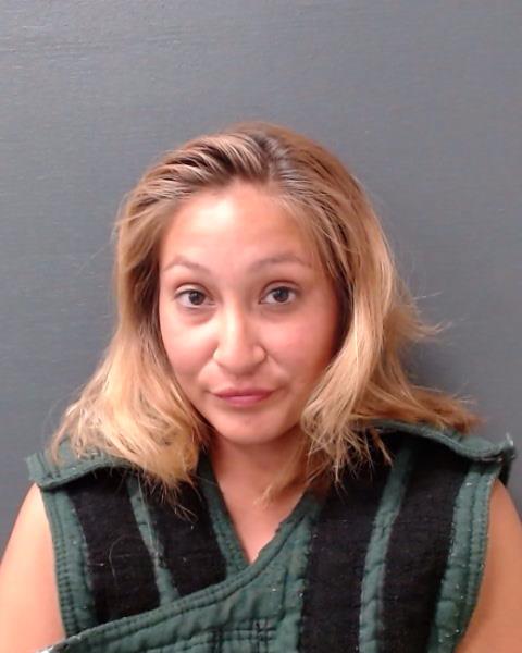 YOUNG, SUSAN RAYAN booking photo