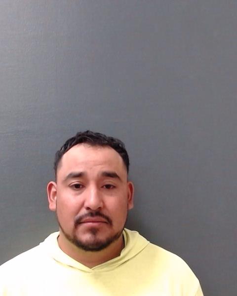 MARTINEZ-SANCHEZ, LUIS ALFREDO booking photo