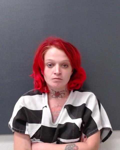 WISHER, LAUREN TYLAR booking photo